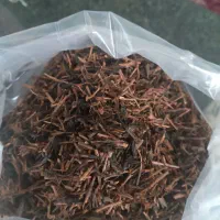 چوب چایی بهاره