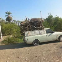 برش چوب درخت  مرکبات|خدمات باغبانی و درختکاری|رودان, |دیوار