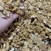 گردو خشک باپوست محلی