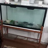 اکواریوم بزرگ در حد