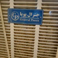 کولر ابی بالا زن جنرال پویا