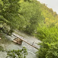 کلبه جنگلی|اجارهٔ کوتاه‌مدت ویلا و باغ|رشت, حومه رشت|دیوار