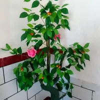 درخت  گیلاس  مصنوعی