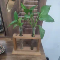 دکوری همه در حد نو نو همه باهم500