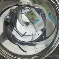 سبزی خردکن پارسیان اصل|خردکن، آسیاب، غذاساز|خرمآباد, |دیوار