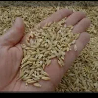 جو خارجی فروش تحویلی 22500