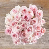 سفارش گیری باکس سفید و صورتی+تک شاخه رز