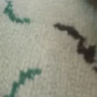 موکت