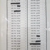 شماره 0919 رند و طلایی