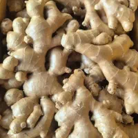 زنجبیل درجه یک