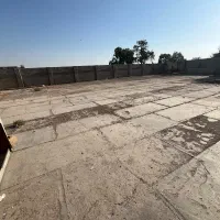 دامداری ومرغداری قزوین نرسیده به اقبالیه
