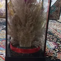 باکس شیشه ای با گل|گل مصنوعی|تهران, سرخه حصار|دیوار