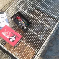 قفس|لوازم جانبی حیوانات|امیدیه, |دیوار