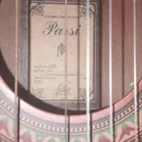 گیتار پارسی m6