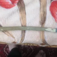 فروش خارکن نخل