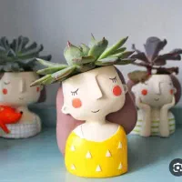 گلدان های کلاسیک|گل و گیاه طبیعی|قم, انسجام|دیوار