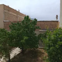 زیر-زمین-اجاره