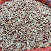 لوبیا *شکسته* چیتی *ایرانی* نصفه مناسب آش شله|خوردنی و آشامیدنی|مشهد, امامیه (شهرک غرب)|دیوار