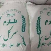 برنج طارم