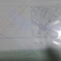 فروش-زمین-دیم-2تیم-هکتار