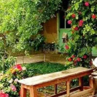 خانه-ویلایی-یک-طبقه