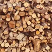 چوب خشک درخت آکالیپتوس