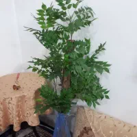 درخچه مصنوعی