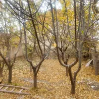 خانه ویلایی|فروش خانه و ویلا|فیروزکوه, |دیوار