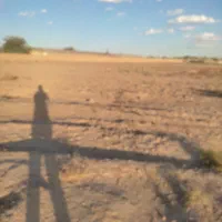 زمین ملکی کنار مرغداری