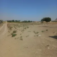 فروش زمین کشاورزی|فروش زمین و ملک کلنگی|اصفهان, سروشبادران|دیوار