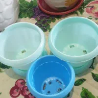 گلدان|گل و گیاه طبیعی|ری, فیروزآبادی|دیوار