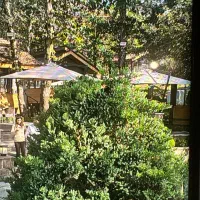 استخدام سرایدار