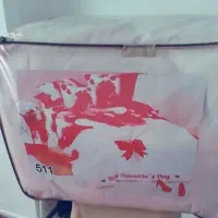 روتختی|سرویس روتختی|بندر انزلی, نیمه شعبان|دیوار