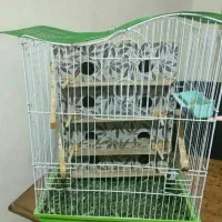 لانه فنچ ومرغ عشق چند مدل|لوازم جانبی حیوانات|خمین, |دیوار