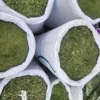 فروش سبزی خشک و تازه|خوردنی و آشامیدنی|شیراز, شاهچراغ|دیوار