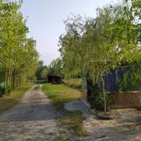 سوله 2565متر|فروش دفتر صنعتی، کشاورزی، تجاری|لنگرود, |دیوار