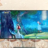 تلویزیون|تلویزیون و پروژکتور|لیلان, |دیوار