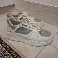 کفش در حد نو|کیف، کفش، کمربند|آبدانان, |دیوار