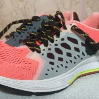 کفش نایک پگاسوس