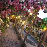 اجاره روزانه هفتگی ویلا واقامتگاه بومگردی منزل مبل