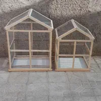 قفس چوبی برای عروس هلندی مرغ عشق قناری فنچ|لوازم جانبی حیوانات|بیرجند, |دیوار