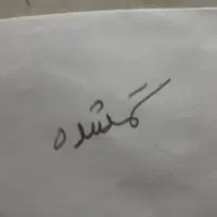 حلقه گمشده درمسیرشبرنگ