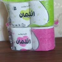 دستمال کاغذی|مواد شوینده و دستمال کاغذی|بانه, |دیوار