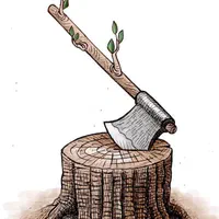 چوب بری و خریدار چوب