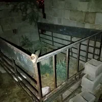 اتاق مزدا