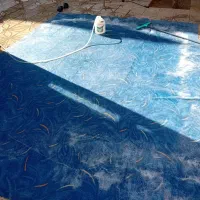 موکت|موکت|نجف‌آباد, یزدانشهر|دیوار