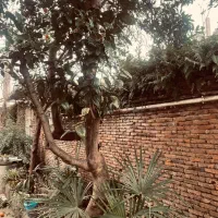 اجاره سوئیت در مرکز شهر ،واقع دریافت تاریخی املش|اجارهٔ کوتاه‌مدت آپارتمان و سوئیت|املش, |دیوار