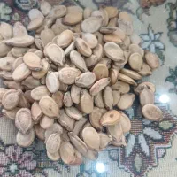 تخمه و مغز بادام بو داده تازه با فروش عمده و خرده|خوردنی و آشامیدنی|اصفهان, بهارستان|دیوار