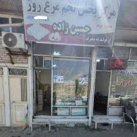 تخم مرغ به قیمت مرغداری
