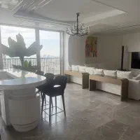 نظافت منزل فقط خانم